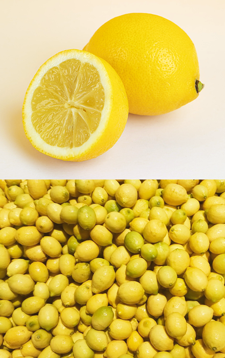 limozam